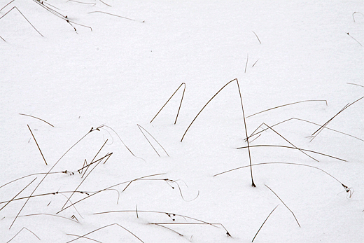 Schnee