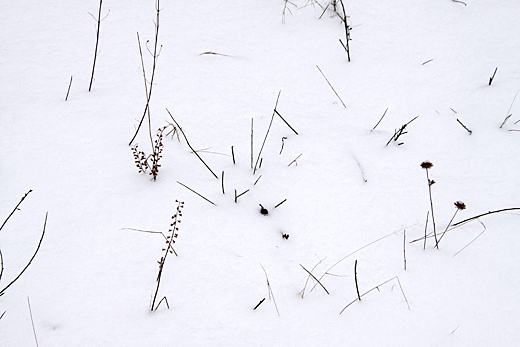 Schnee